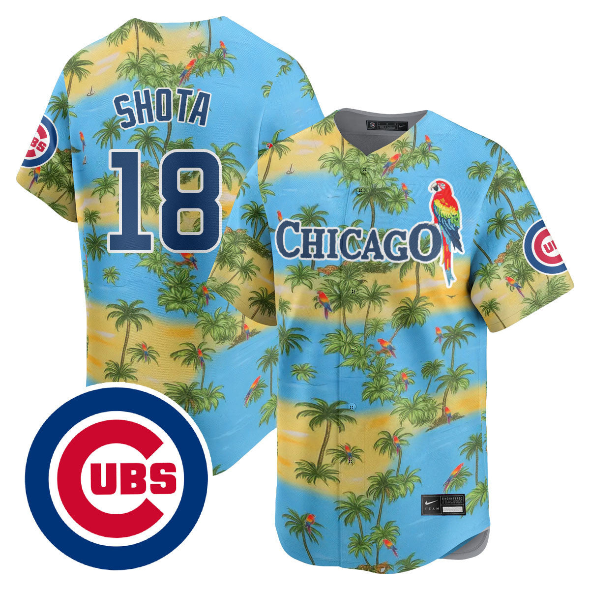 Chicago Cubs Summer 2025 Jersey - All Stitched